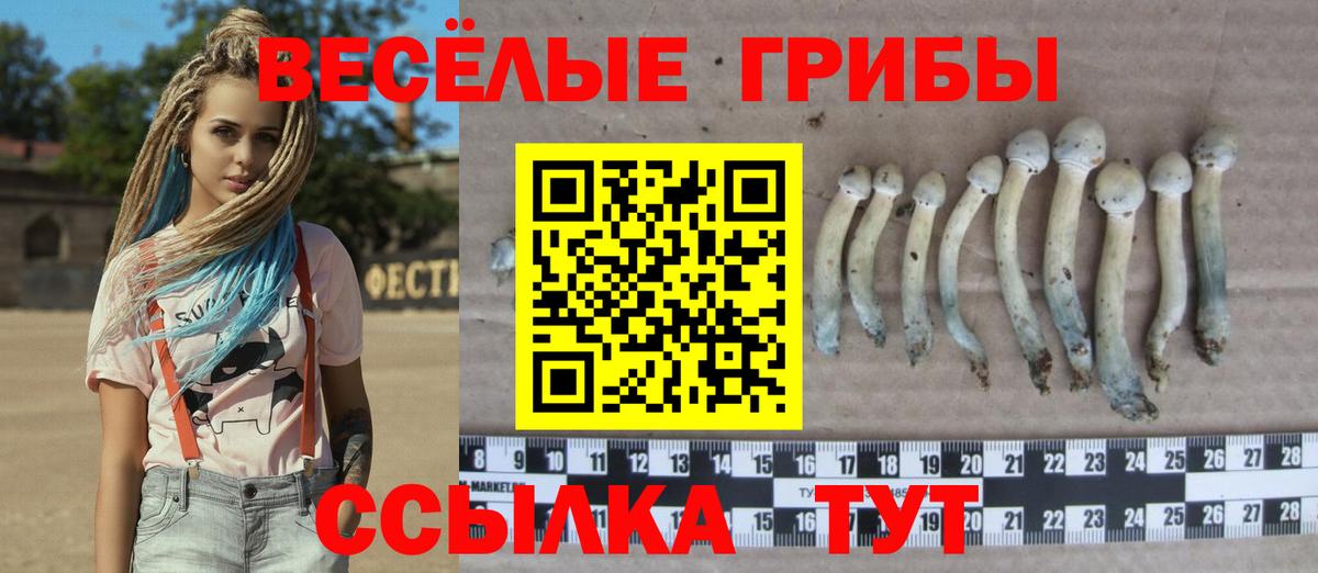 Галлюциногенные грибы мухоморы  Вход с VPN  Сызрань 